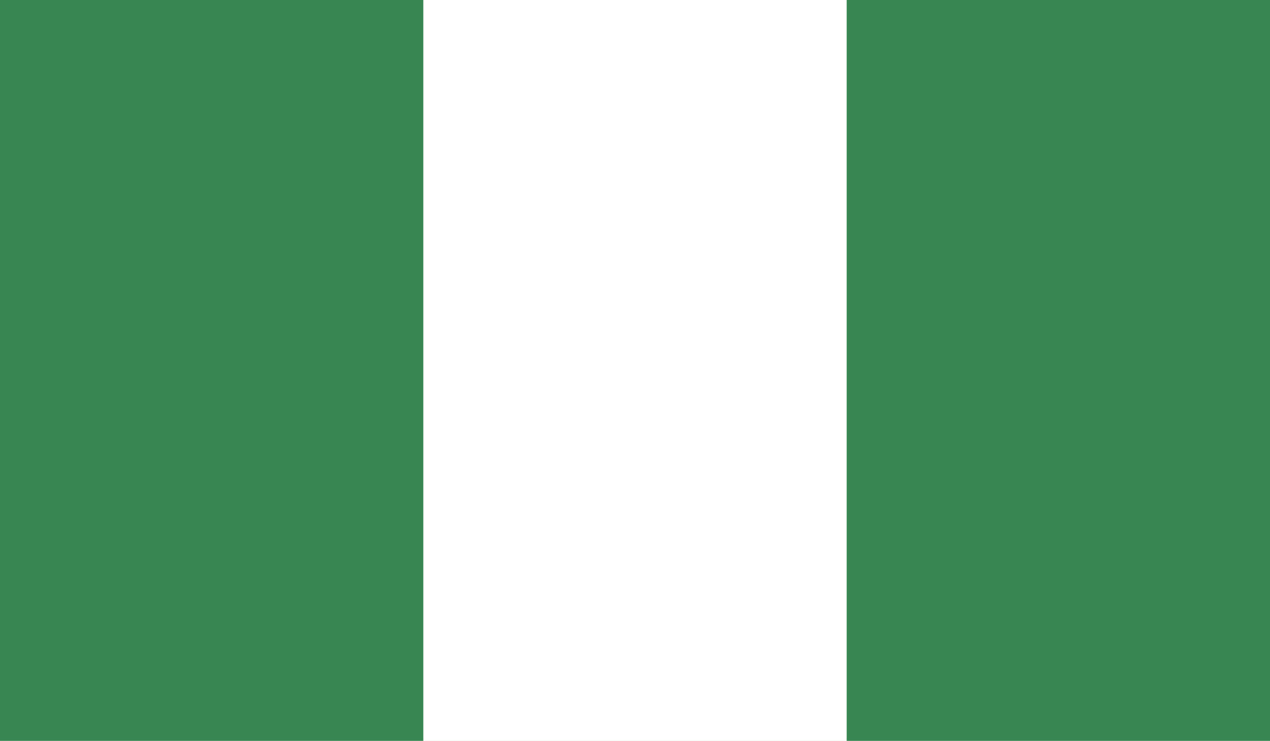 Nigeria Flag